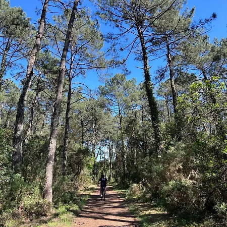 Escapade Ocean * Labenne