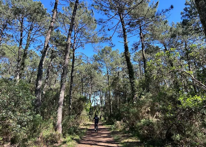 Escapade Ocean * Labenne